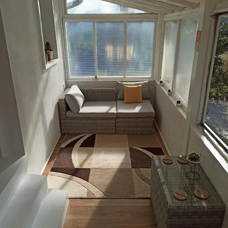 Pelso Bambusz * شيوفوك