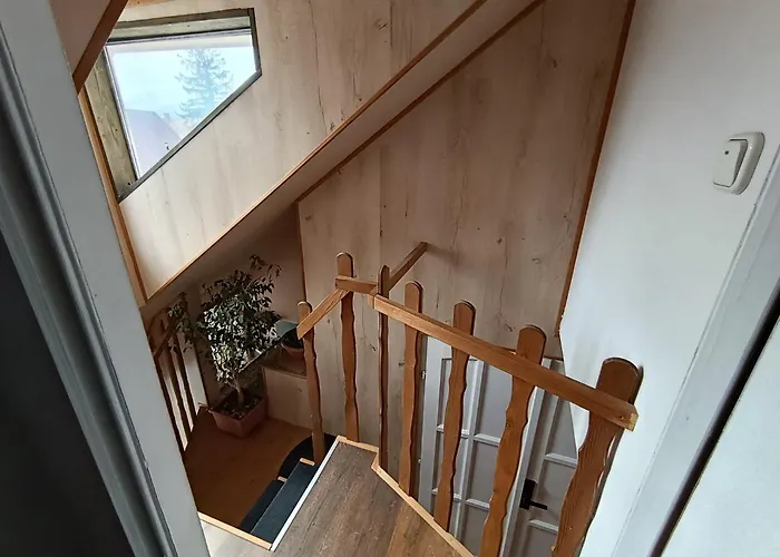 Pelso Bambusz Siófok